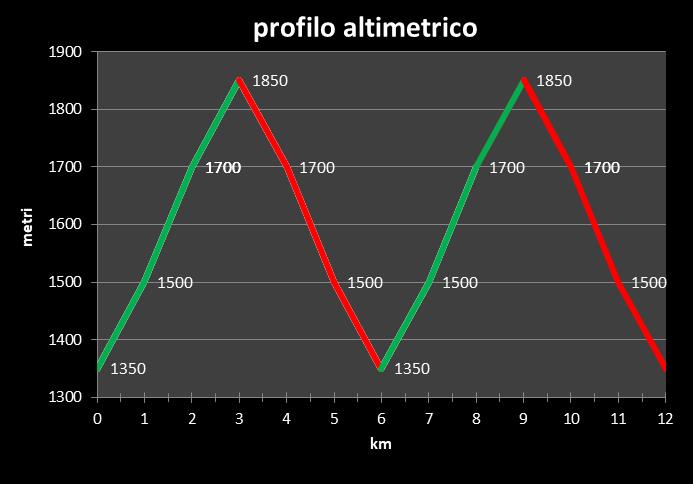 profilo altimetrico definitivo